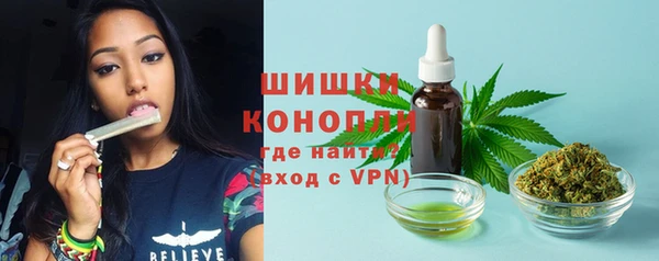 не бодяженный Магас