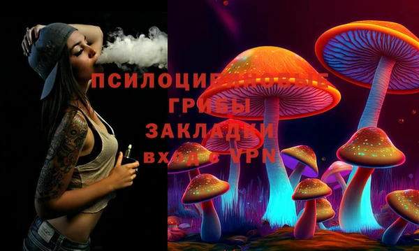 стаф Мегион