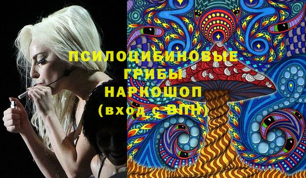 прущий лед Майский