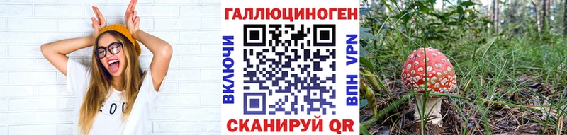 Псилоцибиновые грибы мухоморы  как найти   Туран 